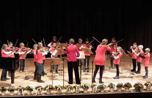 Ensemble Zaubergeigen